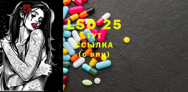 spice Ладушкин