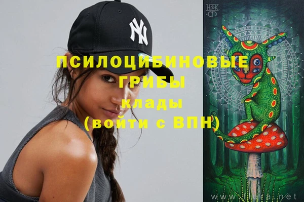 spice Ладушкин
