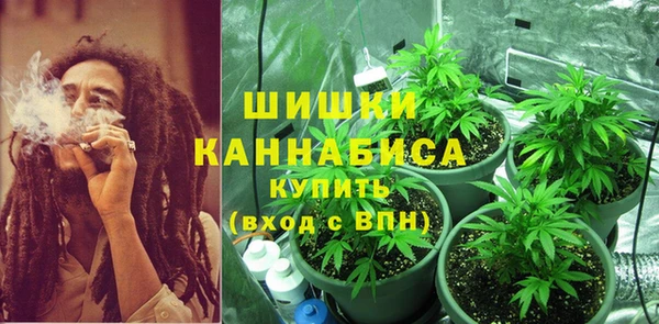 мдпв Лабытнанги