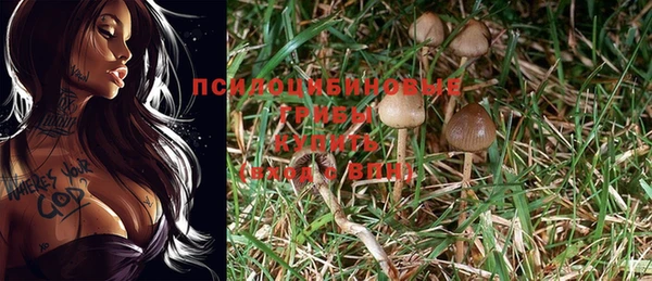 прущие крисы Липки